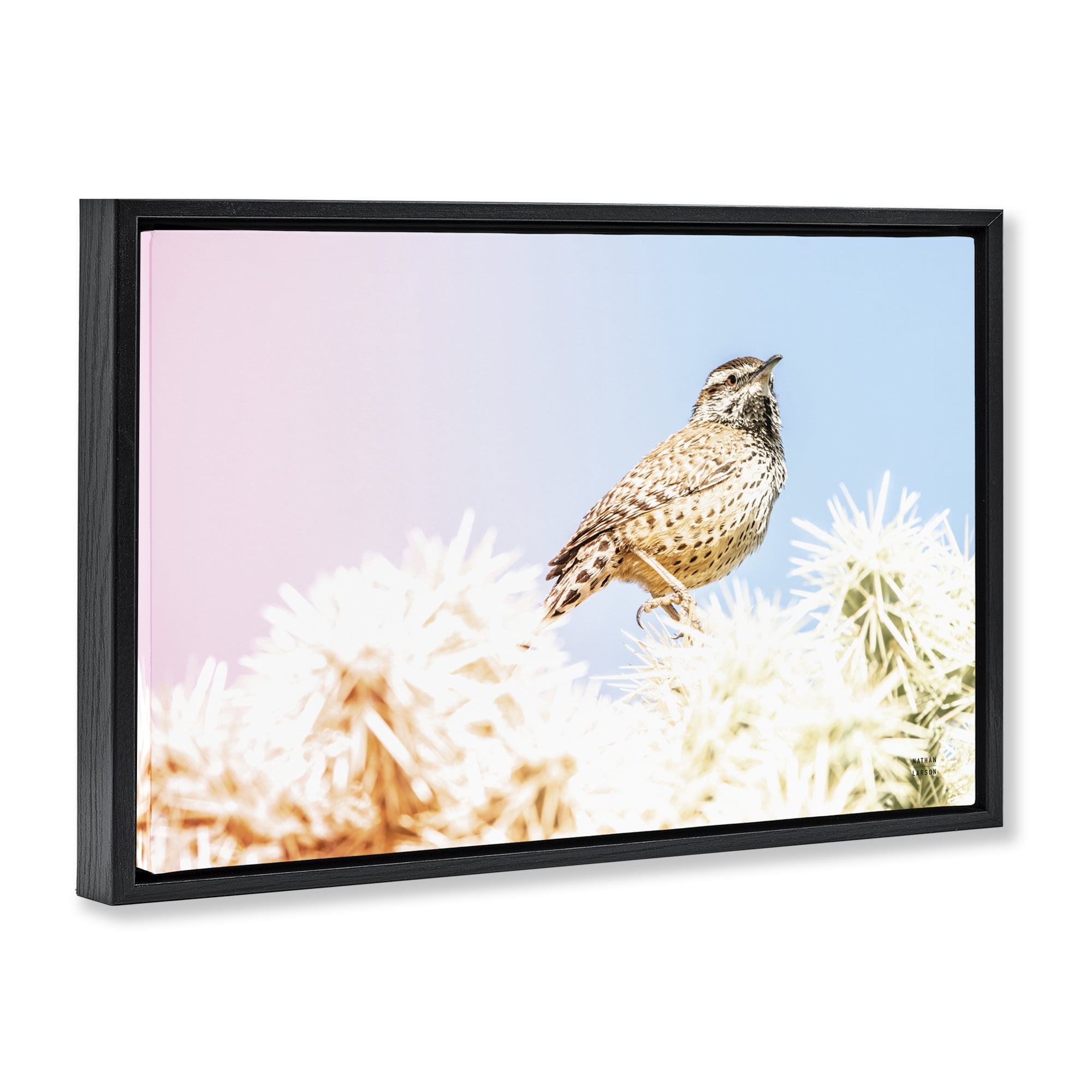 Stupell Industries Desert Song Bird Black Framed Floater Canvas Wall Art, design by Nathan Larson