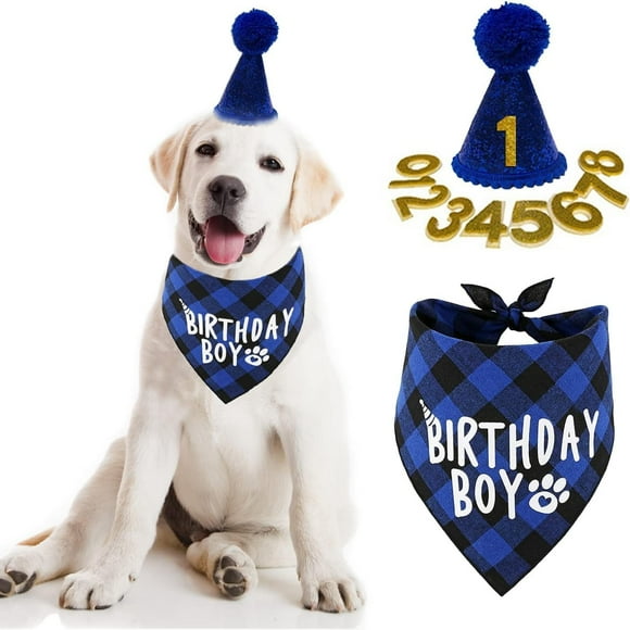 Dog Birthday Party Supplies, Boy Dog Birthday Bandana Scarf and Dog Birthday Hat with Number. (1) (Blue)