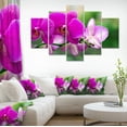 thumbnail image 1 of Beautiful Orchid Flowers on Green - Large Floral Canvas Art Print, 1 of 3