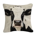 thumbnail image 1 of Throw Pillow Covers Short Lint 18 Inch Double Sided Print Decorative Throw Pillowcase 45X45 Cm Insert Not Included for Couch Bed Living Room, 1 of 7