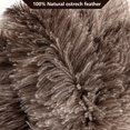 thumbnail image 4 of Plumero NEWONG, pluma de avestruz, mango de madera natural, 2 unidades, 4 of 8