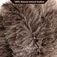 thumbnail image 4 of Plumero NEWONG, pluma de avestruz, mango de madera natural, 2 unidades, 4 of 8