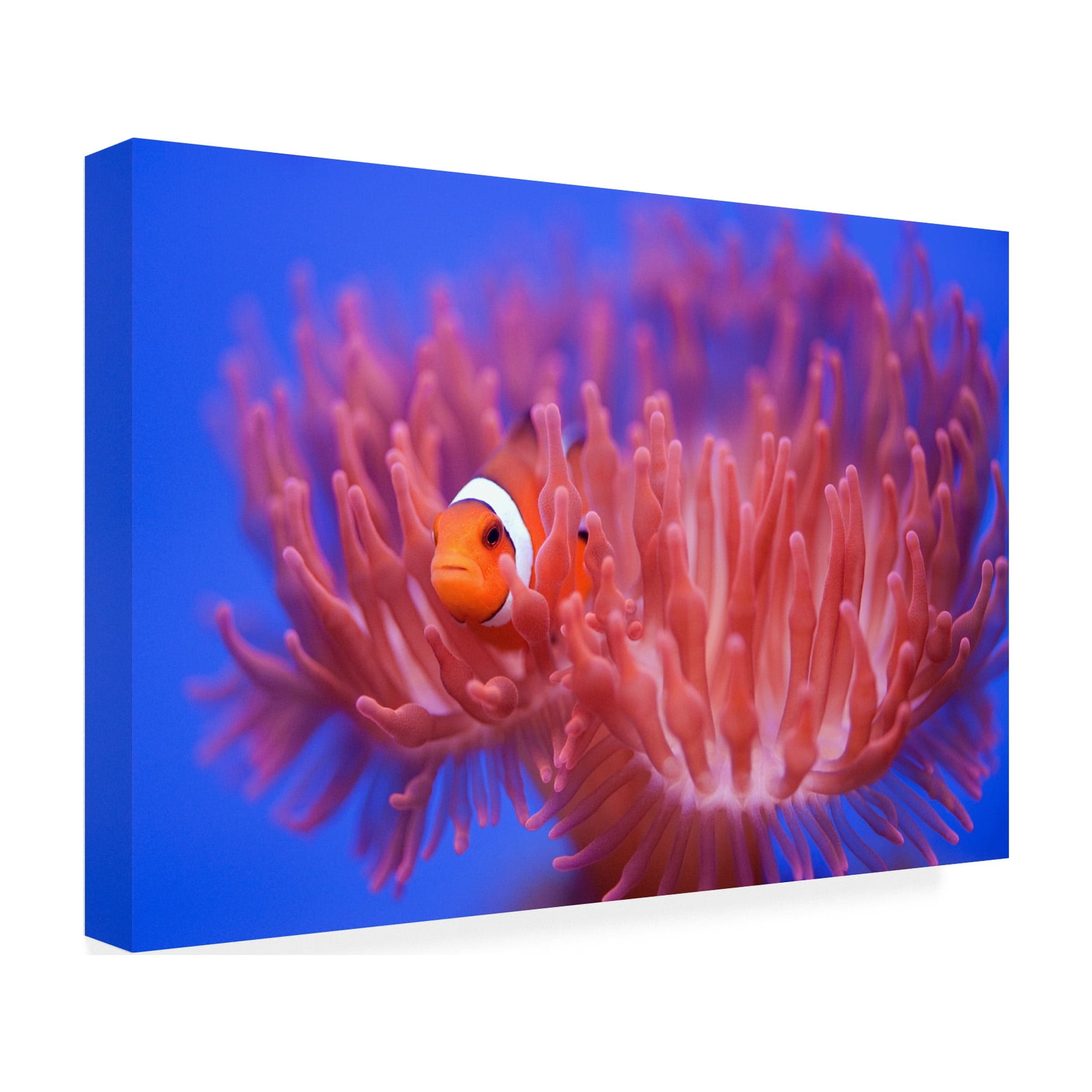 Wendy 'Finding Nemo' Canvas Art