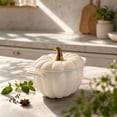 thumbnail image 4 of Ceramic Pumpkin Serving Jar with Lid – White Fall Kitchen Decor Storage Container for Countertop, 4 of 7