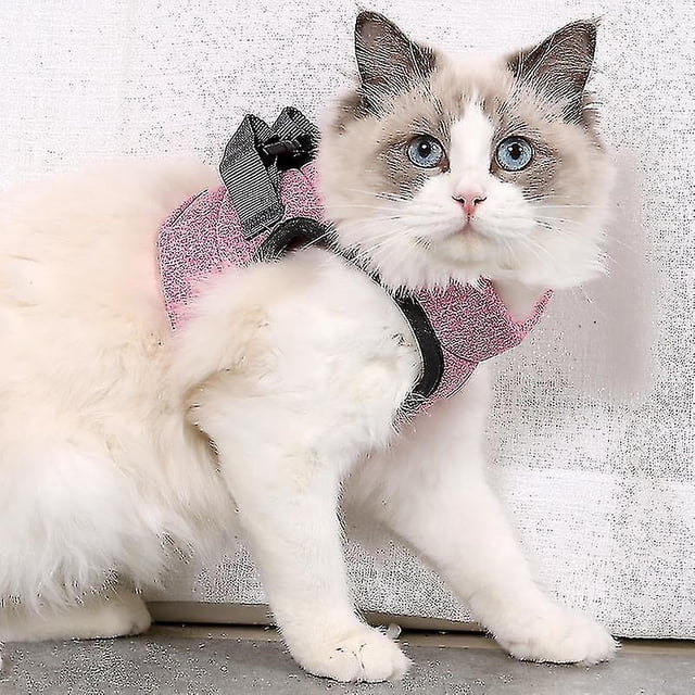 Harness And Leash For Cat Necklace Kitten Ultra-light Cat Walking Jacket Running Sweet And Comfortable