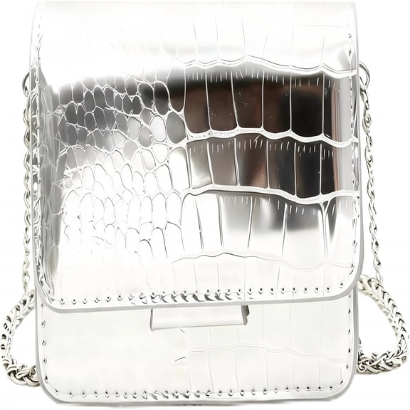 AOMRCOL Women’S Silver Mini Crossbody Purse,Chic Small Pu Leather Evening Clutch Handbag,Elegant Purse for Night Events