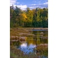 thumbnail image 2 of Rotenberg, Nancy 13x18 Gold Ornate Wood Framed with Double Matting Museum Art Print Titled - NY, Adirondack Mts Forest reflections in pond, 2 of 4