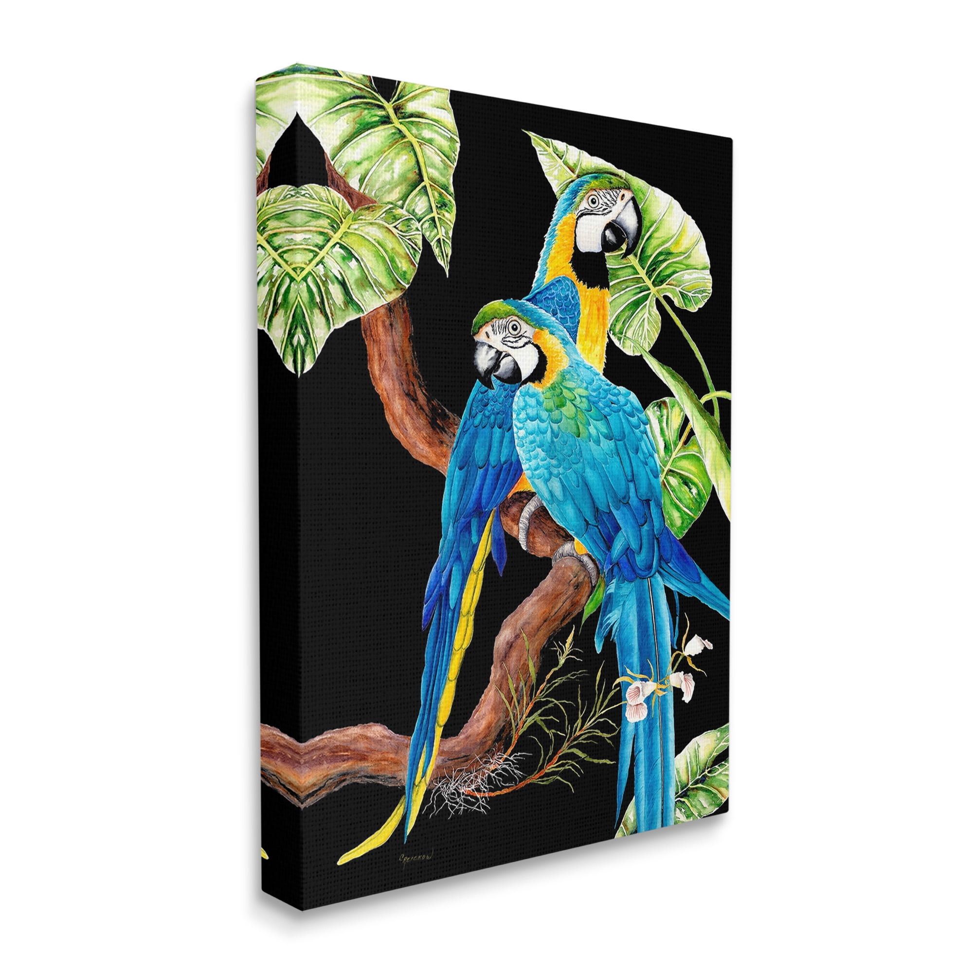 Stupell Industries Parrots Perched on Branch Animals & Insects Painting Gallery Wrapped Canvas Art Print Wall Art, 24 x 30