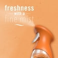 thumbnail image 4 of Febreze Air Freshener Spray, Odor-Fighting Room Spray, Georgia Peach Orchard, 8.8oz, 4 of 10