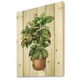 thumbnail image 2 of Designart 'Green Croton In Clay Flowerpot' Traditional Print on Natural Pine Wood, 2 of 5
