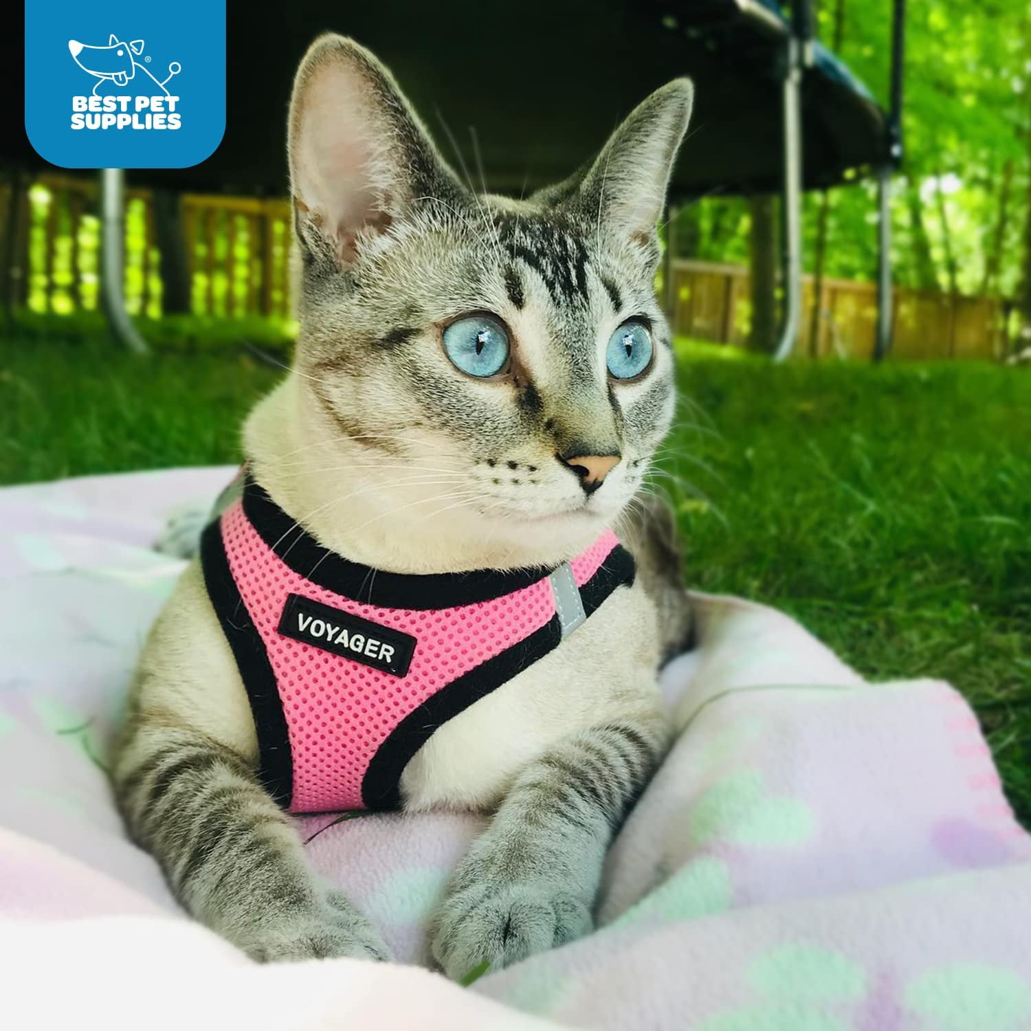Voyager Step-in Air - All Weather Cat Mesh Harness by Best Pet Supplies - Lime Green Base, XXXS