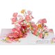 thumbnail image 2 of Tarjeta pop-up MeeSunnie Flor de Nacimiento de Enero: Clavel, 2 of 6