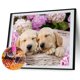 thumbnail image 3 of Cuadros Decorativos Cuadro de mosaico de taladro redondo completo de perro Animal DIY de pintura de diamante 5D (E1162) Ehuebsd Nuevos Originales, 3 of 9