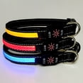 thumbnail image 4 of Collier pour Chien Rechargeable par USB - Collier de Sécurité Réfléchissant pour Chien, 4 of 10