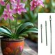 thumbnail image 4 of 100 Bridas Ajustables Multiusos para Jardín con Forma de Espina de Pescado para Plantas, 4 of 4