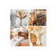 thumbnail image 3 of Plantas Decorativas 100pcs Pampas Secas Flores Artificiales, 3 of 3
