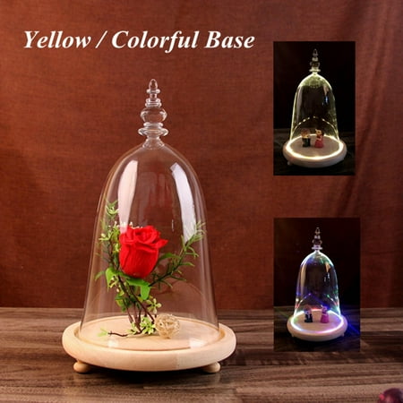 Big Glass Centerpieces Moaere Decorative Clear Glass Apothecary Cloche Bell Jars Centerpiece Dome Display with Bamboo Base Black Friday Big Deals ()