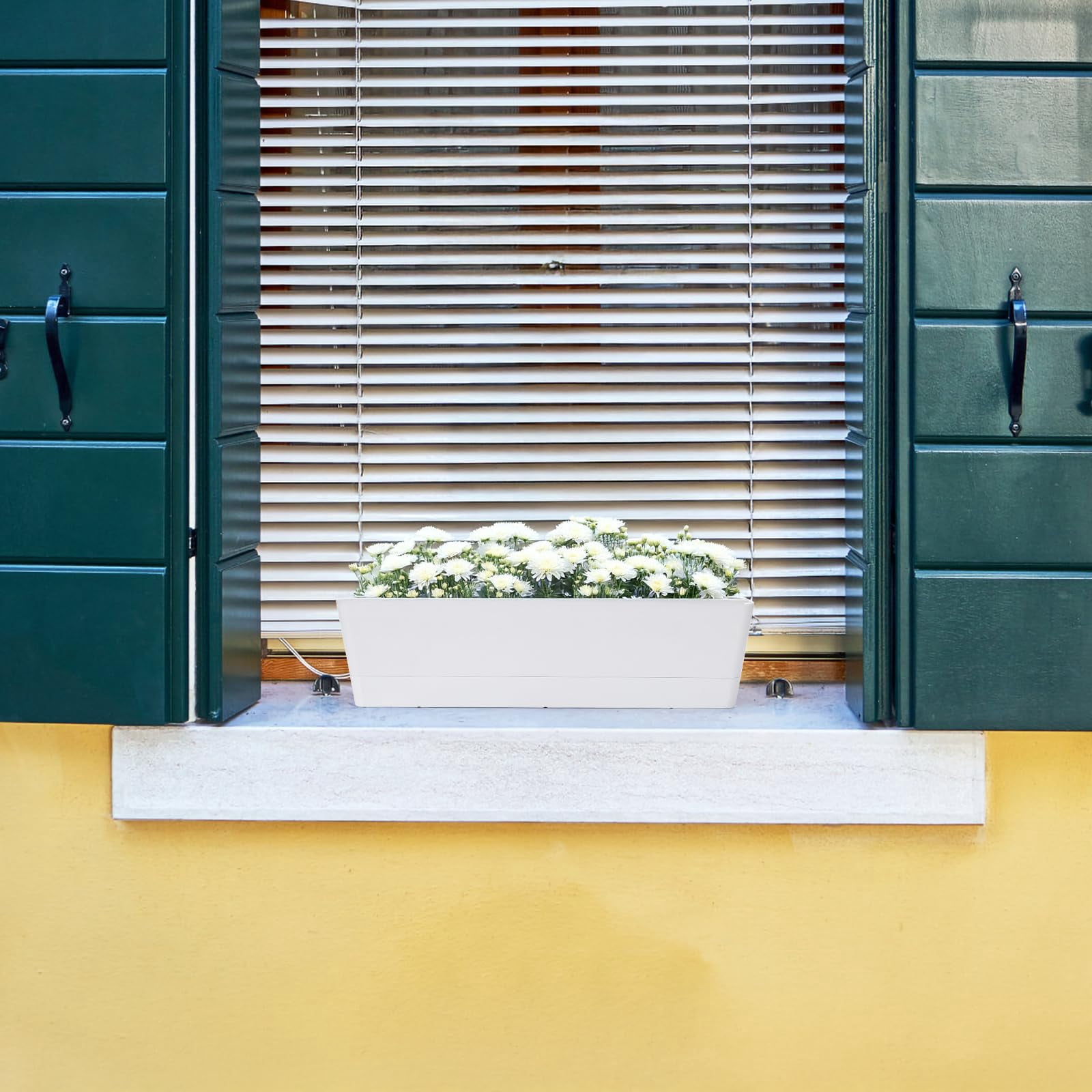 16x3.8 Inch Window Box Planter with Tray, Lightweight Plastic Rectangle Pot for Succulent Cactus, Flower, Vegetable, Herb Gardening, Indoor Outdoor Use