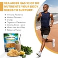thumbnail image 2 of Raw Wildcrafted Sea Moss | Organic Wildcrafted & Non-GMO Certified | Dr Sebi Approved | Make 5 Jars of Sea Moss Gel | Immune Support, Energy &e Essential Minerals & Vitamins 4 oz, 2 of 5