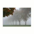 thumbnail image 2 of Gango Home Decor Foggy Trees I by Tammy Putman (Printed on Paper); One 36x24in Fine Art Paper Giclee Print, 2 of 4