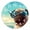 B4, variant on Personalized Wall Clock Non-Ticking Silent Clocks Battery Operated Round Clocks Decorative for Bathroom,Office-Pug Wearing Sunglasses Against The Backdrop Of Palm Trees(12inch)