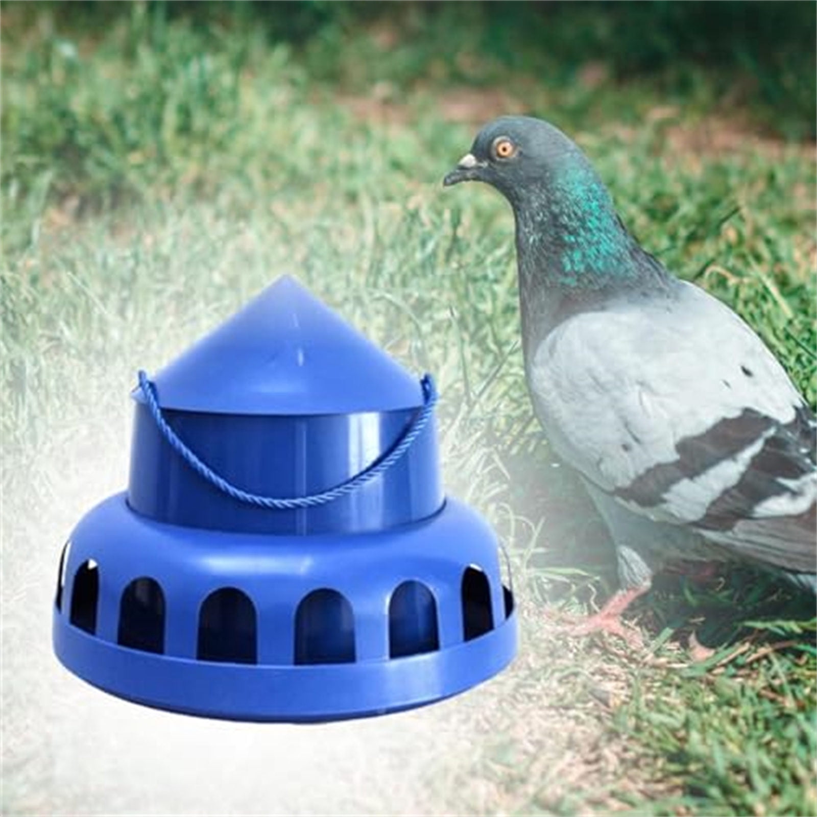 Automatic Pigeons Feed Dispenser LeakProof Bird Feeder for Efficient Feeding Reduces Waste Poultry Coops Feeding Device