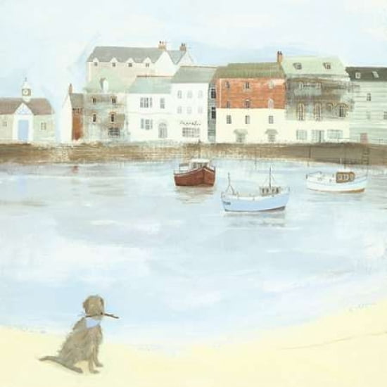 Cornish Sea Dog Can