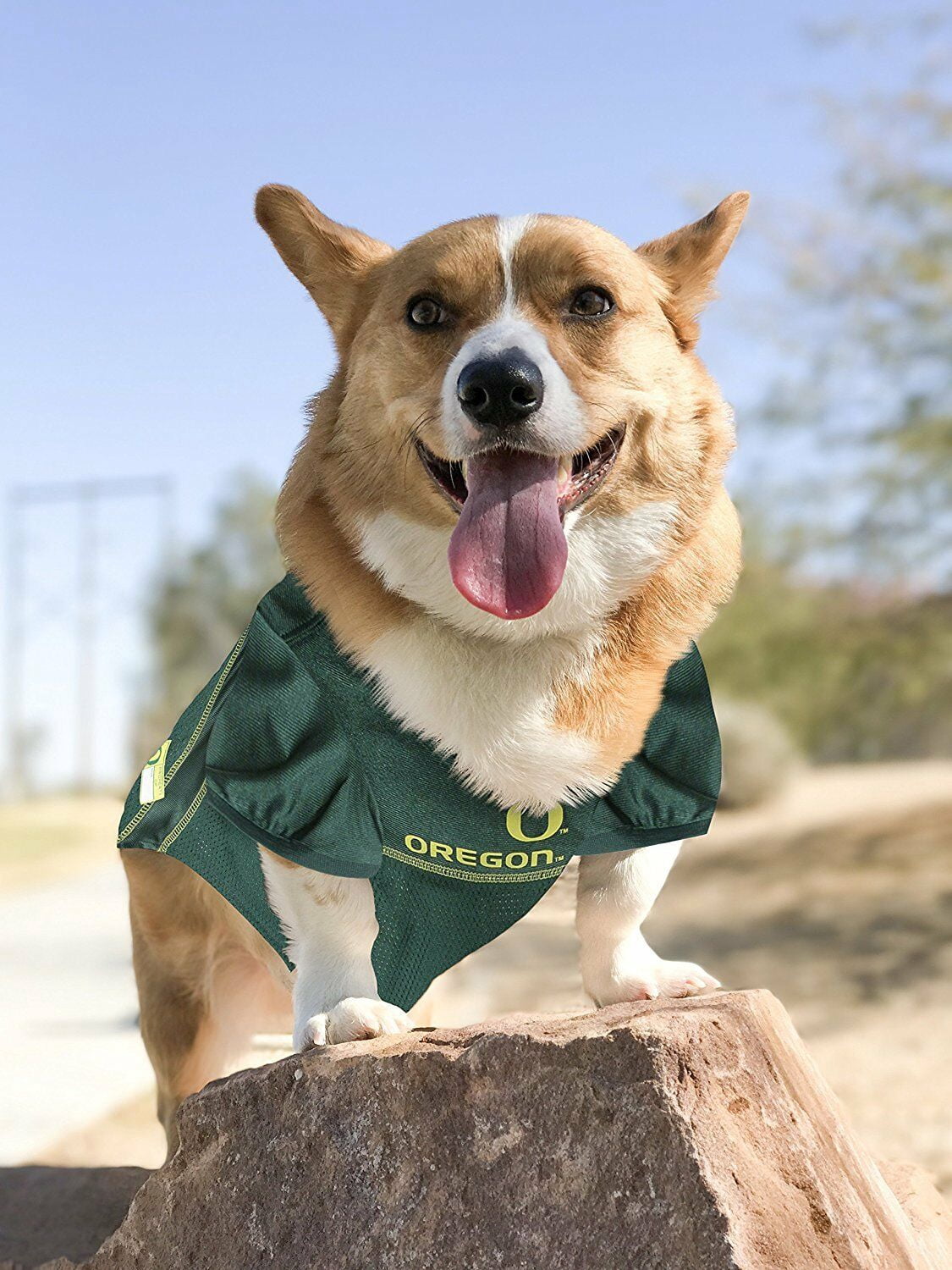 Pets First Collegiate Oregon Ducks Football/Basketball Mesh Jersey for Pet Dog. available in 40+ Teams - Small