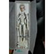 Gem 16'' Robert Tonner Doll