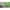 Green, variant on Holiday Savings Deals! Up to 30% off, Zanvin Women's Fashion Sneakers Clearance Casual Work Shoes Non Slip Running Shoes Athletic Sneakers Thick Soled Sports Walking Shoes, Pink, Size 7