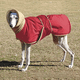 thumbnail image 3 of Traje de terciopelo cálido para perros con parche mágico a juego de colores, fácil de poner y quitar, traje multicolor para perros, 3 of 5