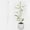 White, variant on Moss Pole for Plants Indoor, DELESYS 1PC 15 inch Plastic Moss Pole Monstera Plant Support, Bendable Plant Stakes for Potted Plants, Plant Pole Sticks for Climbing Plants