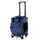 thumbnail image 1 of Costway 3 en 1 Carro Nevera Grande de Ruedas 40L Aislamiento Térmico y Antifugas con Bolsa Desmontable Asa Placa Inferior para Camping Picnic, 1 of 10