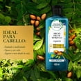 thumbnail image 3 of Shampoo Herbal Essences Bio:Renew Argan Oil Of Morocco 400 ml, 3 of 5