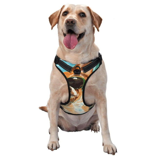 Balery Funny Swimming Chihuahua Arnés para Perros Grandes Antitirones, Arnés con Correa para Gato, Arnés Tipo Chaleco para Perros Pequeños-Medium