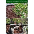 thumbnail image 6 of Horticultural Calcined Clay Soil Bonsai Cactus Soil Additive for Succulent Plants (5 QT, 1/8 inch), 6 of 10