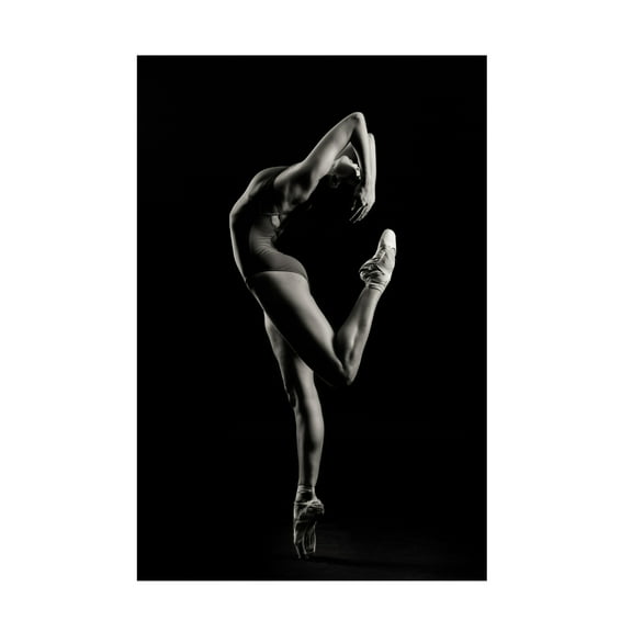 Sergei Smirnov 'Dancer' Canvas Art