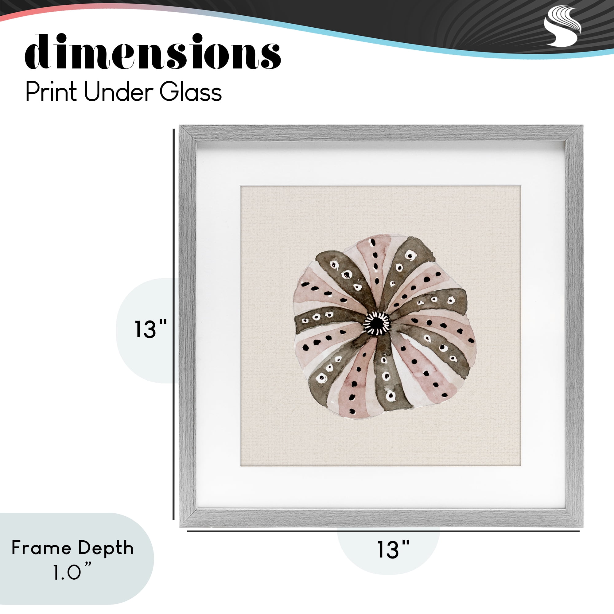 Stupell Industries Taupe Striped Sea Urchin Gray Framed Print Under Glass, design by Lanie Loreth