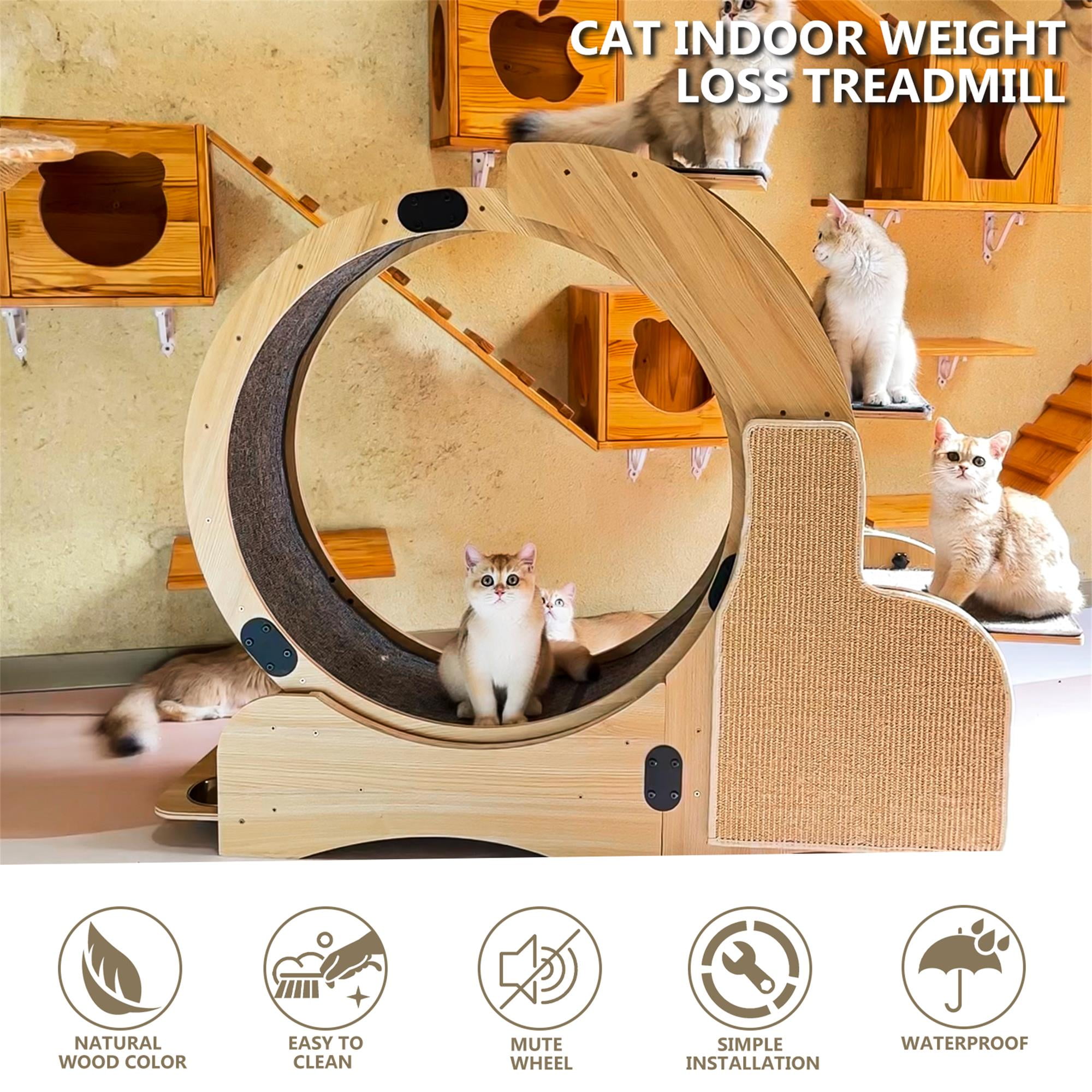 Kadyn 46" Cat Exercise Wheel for Indoor Cats, Large Cat Running Wheels, Easy Assembled Cat Treadmill Wheel, Ultra-Quiet Running for Cat's Healthy, Beige Kadyn 46" Cat Exercise Wheel for Indoor Cats, Large Cat Running Wheels, Easy Assembled Cat Treadmill Wheel, Ultra-Quiet Running for Cat's Healthy, Beige