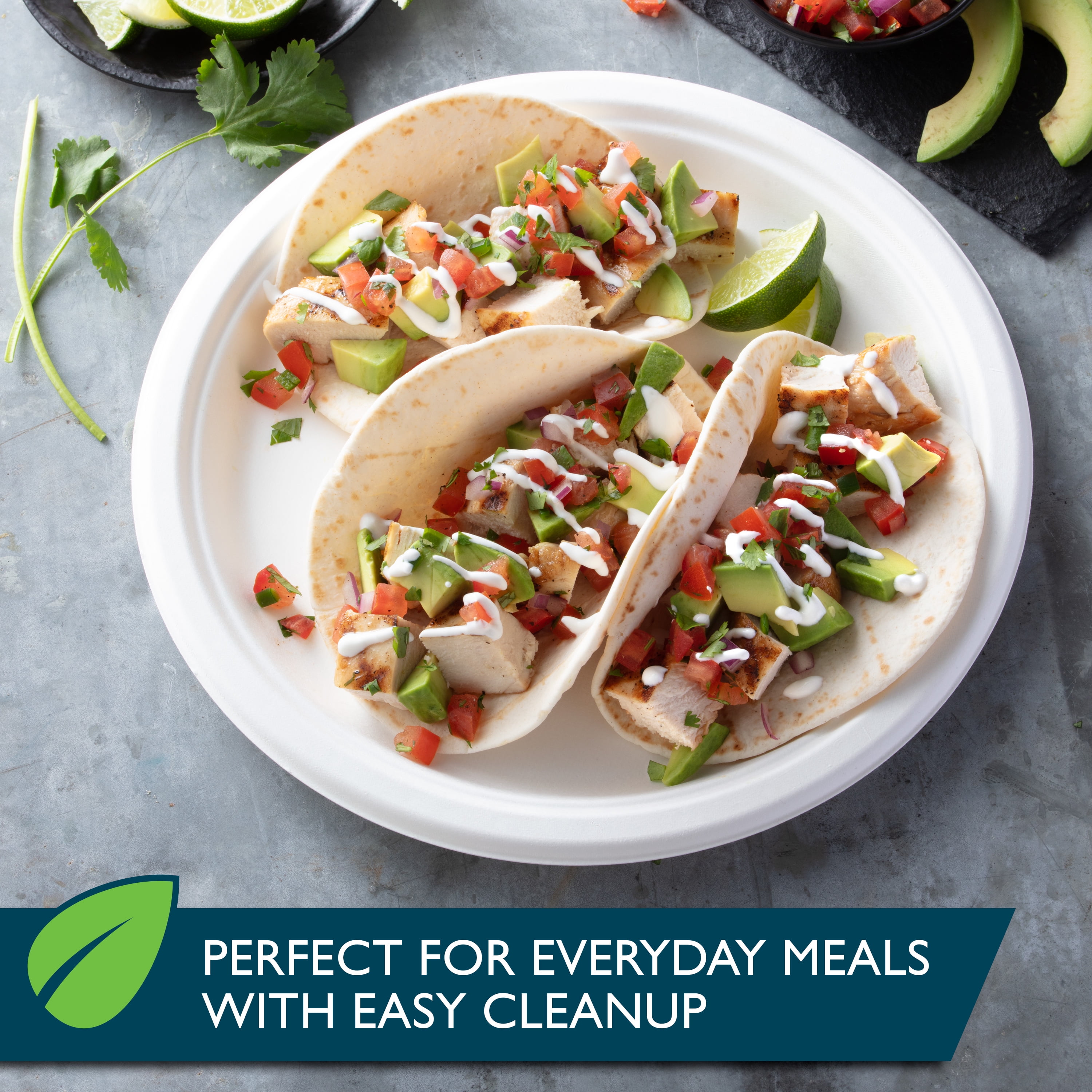 (4 pack) Hefty ECOSAVE Compostable Paper Plates, 10-1/8 inch, 16 Count