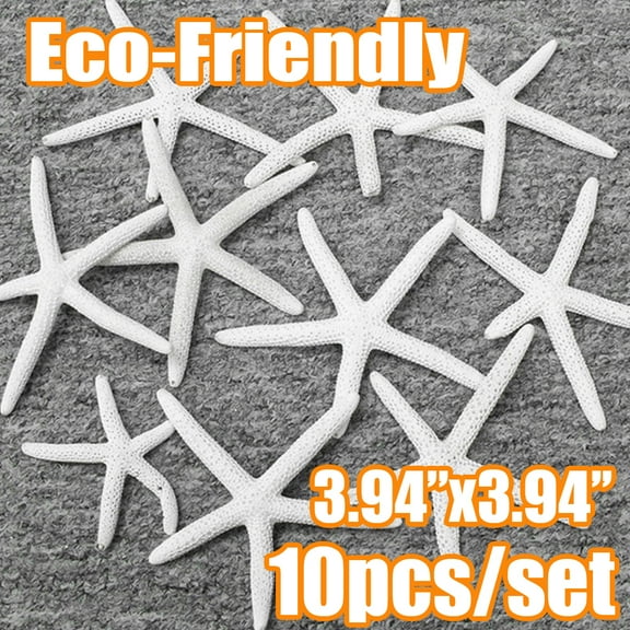 Cheers.US 10Pcs/Set Starfish Ocean Beach Starfish-Natural Seashells Starfish Perfect for Wedding Decor Beach Theme Party, Home Decorations,DIY Crafts, Fish Tank-3.94"