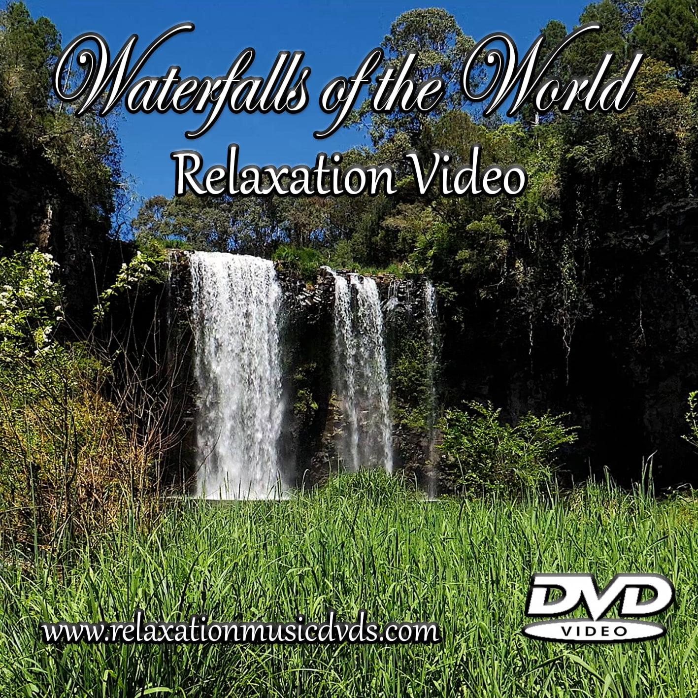 その他 Aquarium Relaxation [DVD] Relax: Aquarium Relaxation (DVD), San Juan, Special