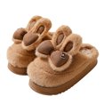 thumbnail image 2 of Zapatos de algodón para mujer, zapatillas peludas de nuevo estilo 2024, lindas zapatillas de invierno para mujer, además de terciopelo, versátiles y cálidas para parejas, 2 of 5
