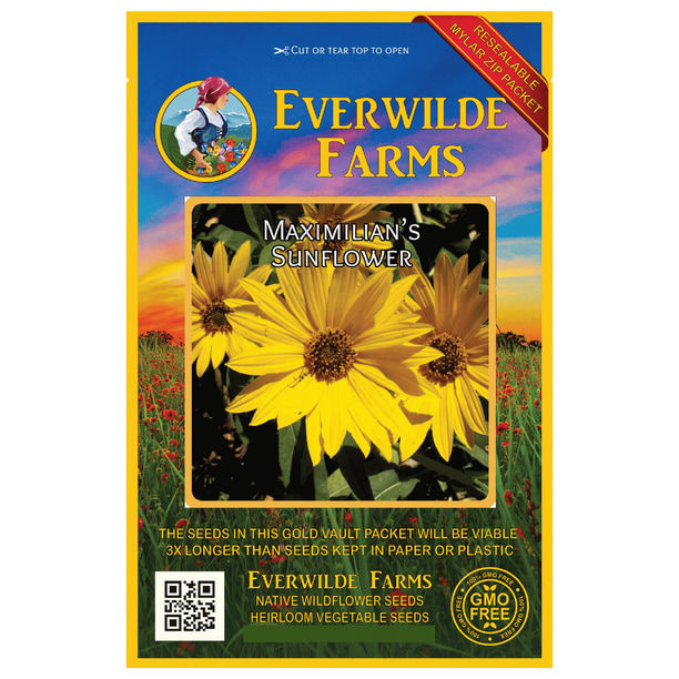 Everwilde Farms 800 Maximilian Sunflower Native Wildflower Seeds