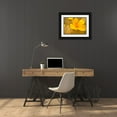 thumbnail image 3 of Popcorn 32x25 Black Ornate Wood Framed with Double Matting Museum Art Print Titled - Wildflowers XXXV, 3 of 4