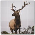 thumbnail image 1 of Picture-Tiles.com: Deer Ceramic Tile Wall Mural WAL500472-55XL. 60"W x 60"H using (25) 12" x 12" Ceramic Tiles-Satin Finish, 1 of 3