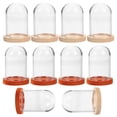 thumbnail image 1 of Miangastore 10 Pcs Petit Vitrine en Verre Transparent avec Base, 1 of 8