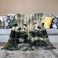 thumbnail image 2 of Orinice Cute Panda Theme Blanket - Soft &amp; Lightweight Cozy  Throw Blanket - Plush Warm Blankets for Sofa, Travel, Bedroom, Office, Home Decor - Ideal Gifts for Adults Kids Women Men   50x60in, 2 of 6