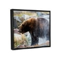 thumbnail image 3 of Stupell Industries Bear Bathing In Stream Photography Animals & Insects Photography Black Floater Framed Art Print Wall Art, 3 of 6