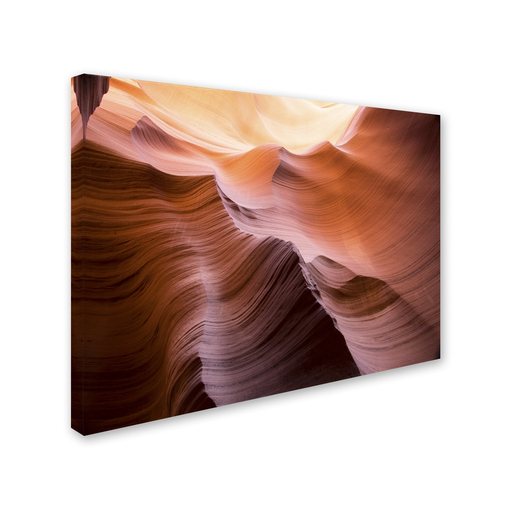 Trademark Fine Art "Smooth II" Canvas Art by Moises Levy
